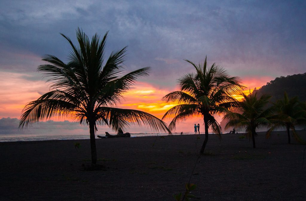 Sunset through palm trees at Jaco Beach, Costa Rica