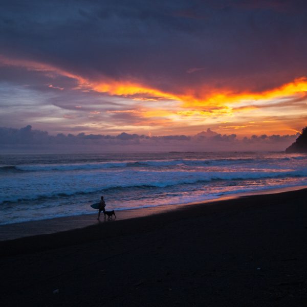 Surfer at the end of the day, with sunset, Jaco Beach, Costa Rica