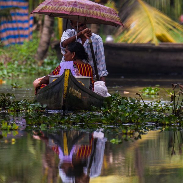 A lady shades herself with an umbrella whilst being paddled in a boat on the rivers of Kerala's backwaters, India