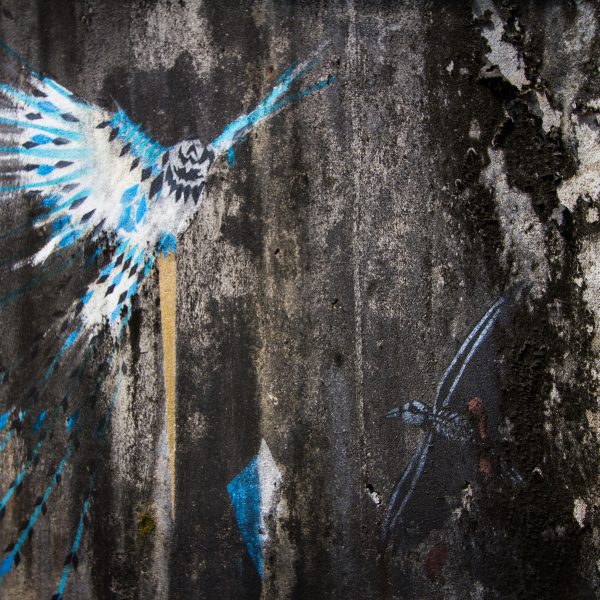 Bird painting street art, Fort Kochi, Kerela, India